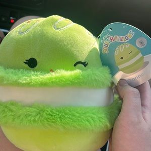 RareDonnelly squishmallow